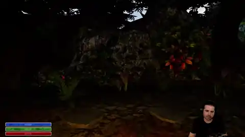 The Lantern of the Laughless Saint harvesting reagents on the island
