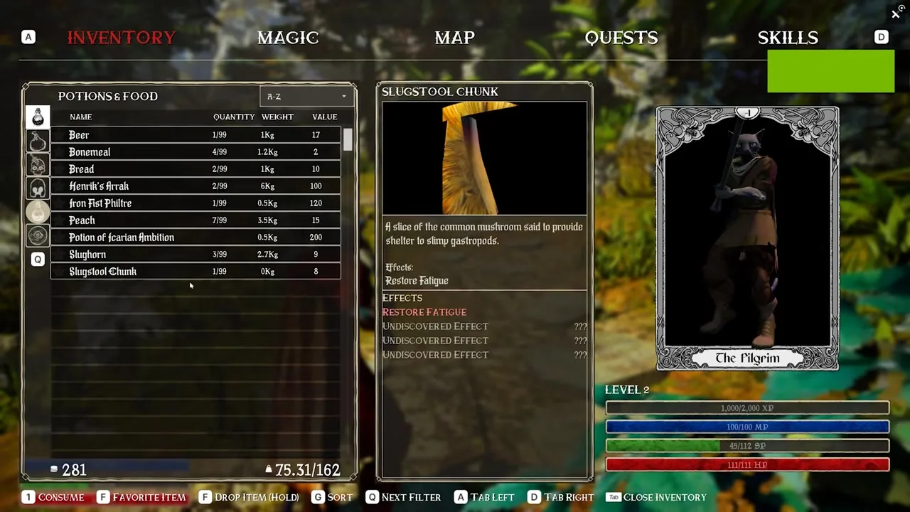 The Lantern of the Laughless Saint early co-op session HUD